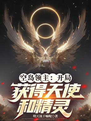 空岛领主：开局获得天使和精灵